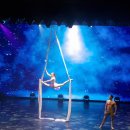 강남-270 | 로얄캐리비안 크루즈 스펙트럼 오브 더 시즈 대극장 270극장 공연 쇼 자유여행 후기