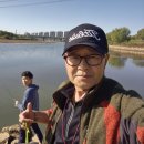 사구보세 이미지