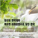 서연한의원 이미지