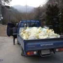 한국사슴백화점 이미지