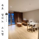 속초 델피노 소노벨 스탠다드 스위트 객실 리뉴얼후 방문 후기 &lt;내돈내산&gt;
