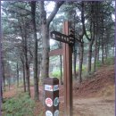 독산성길(삼남길) 이미지