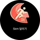 정진기업 | 2026 쉬엄쉬엄 한강 3종 축제 초급자 1 코스 : 체력 거지의 양일 나눠 참가한 후기