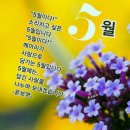 오월 이미지