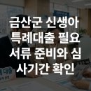금산군 신생아 특례대출 필요서류 준비와 심사기간 확인 이미지