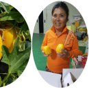 성주농장 이미지