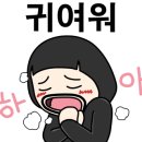 헤어콤마 - 강릉시 주문로 15 | 헤어콤마