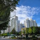 토성약국 | 송파구 풍납동 임장