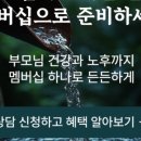 삼성재래시장 | 제주도 재래시장 서귀포 올레시장 성수기에는 비추 입니다. 내돈내산