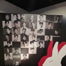 화이트래빗 이미지