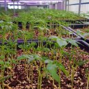 전천후농장 이미지