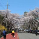 상동교 네거리 이미지