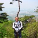 최보경공인중개사사무소 Daum카페