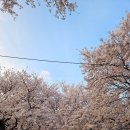 수채캘리 & 시 한줄 | [문래창작촌 맛집] 슬로우캘리 문래점, 소스 듬뿍 연어포케로 든든한 한 끼