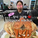 내면파출소 | 영덕 강구항 박달대게 솔직 후기 : 시세, 상차림, 방문 팁 총정리
