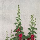 고래실길 이미지