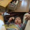 김태우농장 헤럴드경제