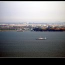 바다와 숲 이미지