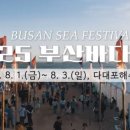 바다축제 티스토리