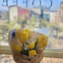 플레르퍼피 이미지