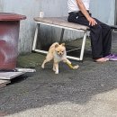 동대보리밥집 이미지