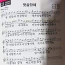 화곡3동 김영희 노래교실 2023년11월15일/박서진원곡 헛살았네 배우기 이미지