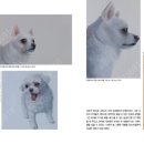 제일인쇄소 이미지