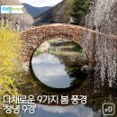 [여행honey] 다채로운 9가지 봄 풍경 '창녕 9경 이미지