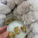 항균농장 이미지