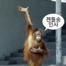 애련정로 1 이미지