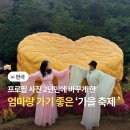 고인돌 조형물 | 엄마랑 가기 좋은 가을 꽃구경 화순 고인돌축제