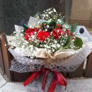 대성힐스오피스텔 이미지
