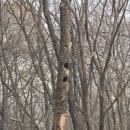 옥정 생태숲공원 | [양주옥정숲체험모집]전지적 생태시점ㅣ양주신도시, 양주 옥정숲생태공원, 양주옥정 숲체험 입성.