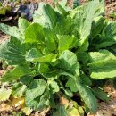 승모농장 이미지