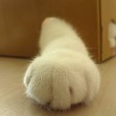 라온음악학원 이미지