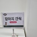 시흥애견 네이버블로그