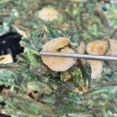 사위식당 울산무거점 이미지