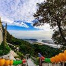 (주)자연과자원 이미지