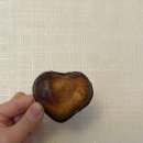 충당소