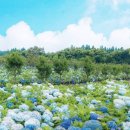 여름목장 이미지