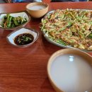 강진스테이오소 이미지