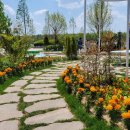 신황금공인중개사사무소 이미지