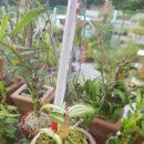 연월농장 이미지