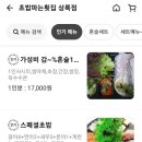 초밥파는배달횟집 이미지