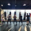 드래곤복싱클럽 백마점 이미지