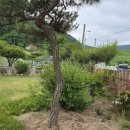 명화부동산공인중개사사무소 이미지