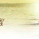 사랑의빛 이미지