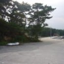 질매섬 Daum백과