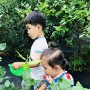 하늘녘싱싱팜 이미지