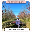 더불어 농장 | 경기도 김포 애플프렌즈팜 미니사과체험 후기/ 예약/ 가격 정보 사과따기 체험농장